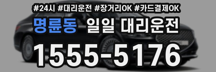 명륜동 일일 대리운전