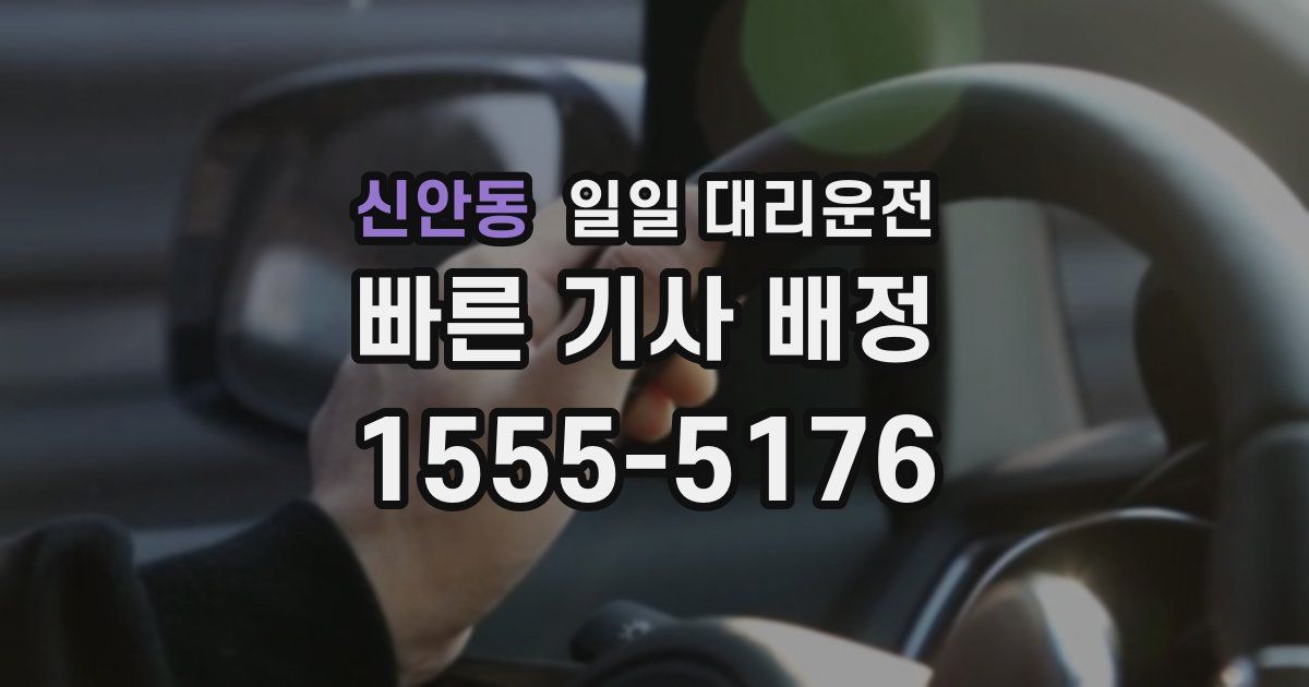 신안동 일일 대리운전