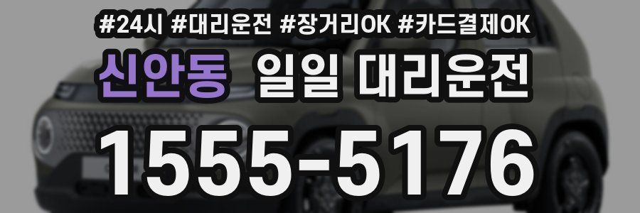 신안동 일일 대리운전