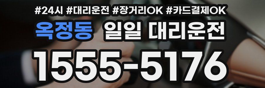 옥정동 일일 대리운전