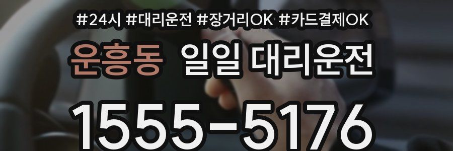 운흥동 일일 대리운전