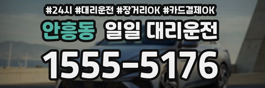 안흥동 일일 대리운전