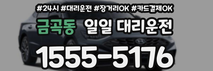 금곡동 일일 대리운전