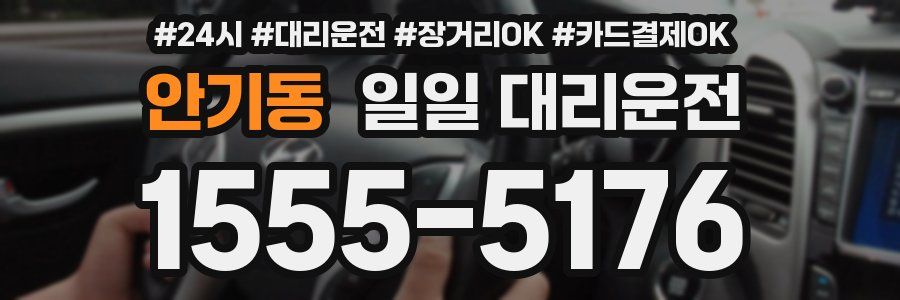안기동 일일 대리운전