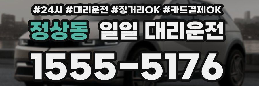 정상동 일일 대리운전