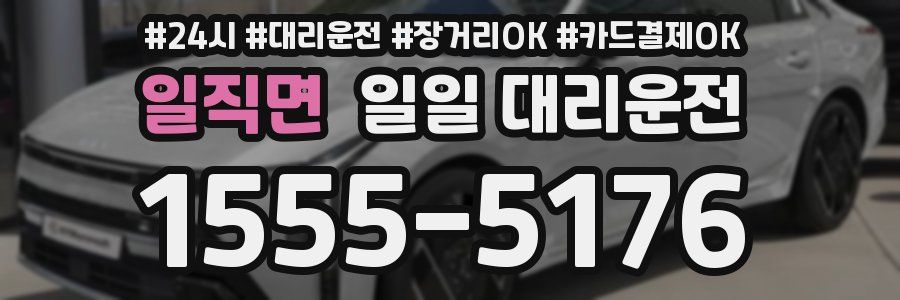 일직면 일일 대리운전
