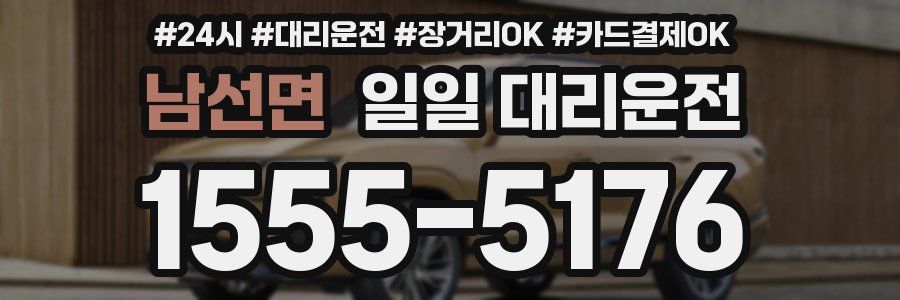 남선면 일일 대리운전