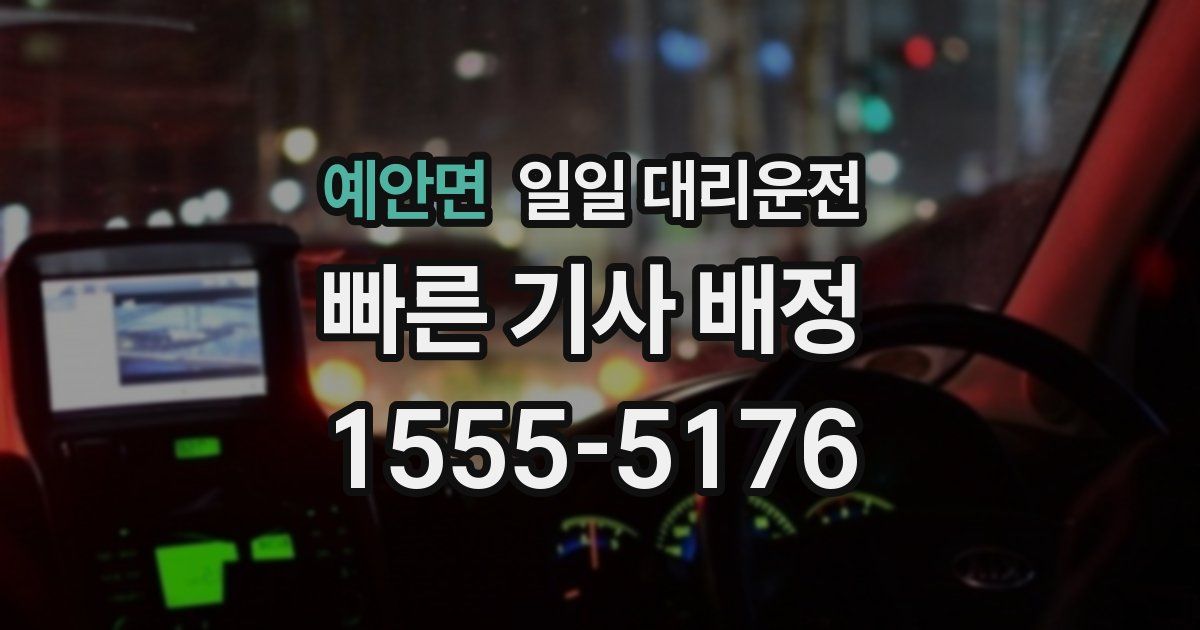예안면 일일 대리운전