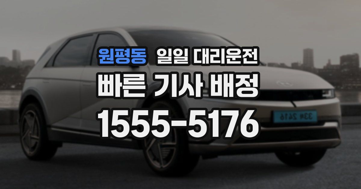 원평동 일일 대리운전