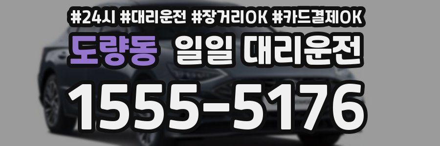 도량동 일일 대리운전