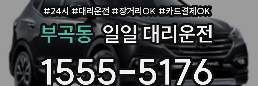부곡동 일일 대리운전