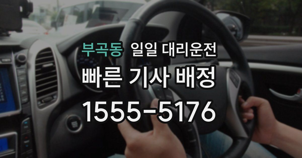 부곡동 일일 대리운전