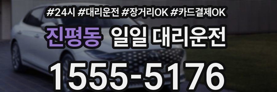 진평동 일일 대리운전