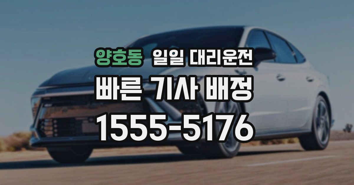 양호동 일일 대리운전