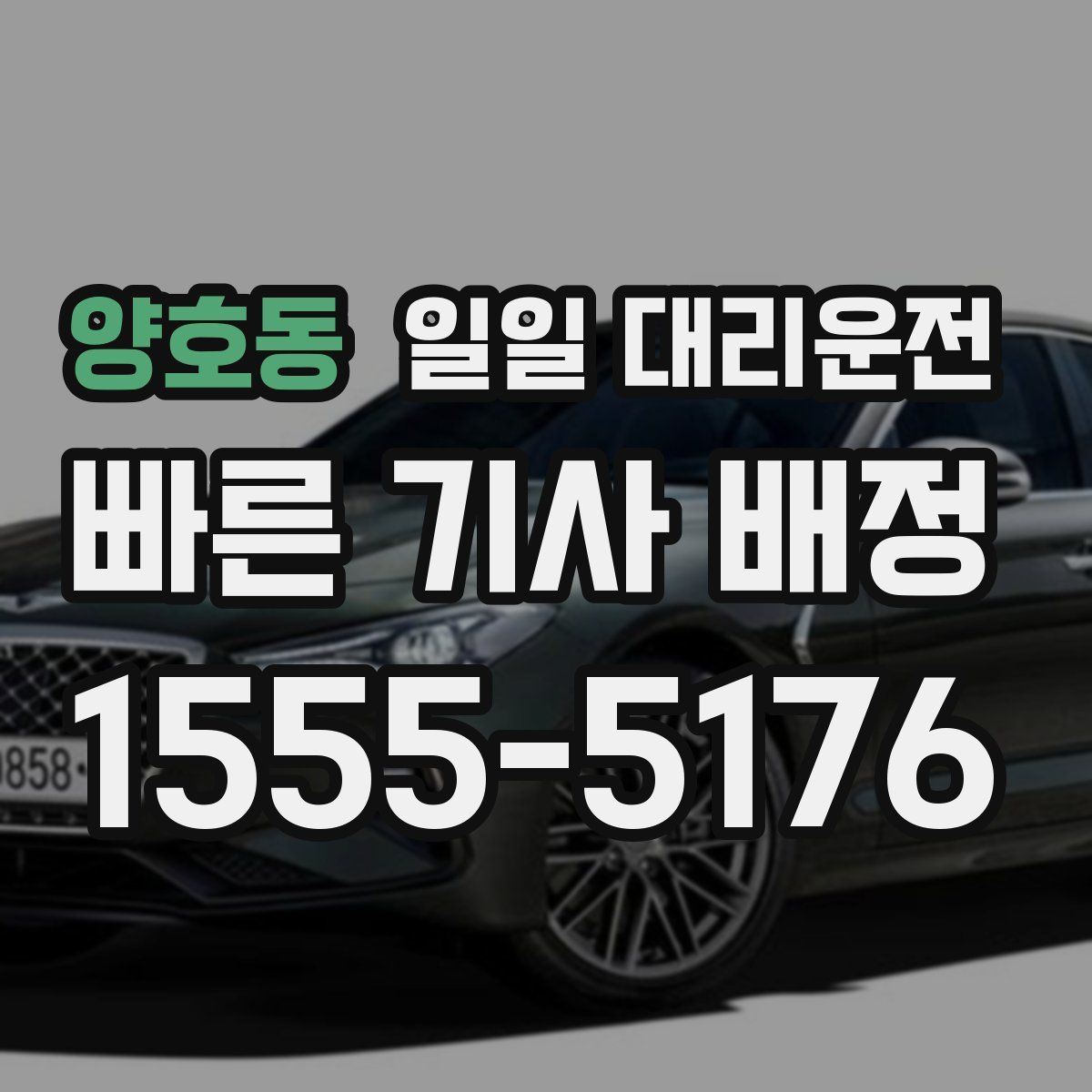 양호동 일일 대리운전
