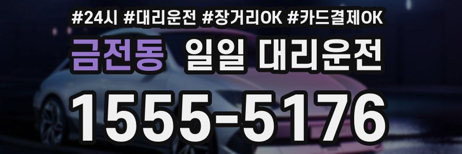 금전동 일일 대리운전
