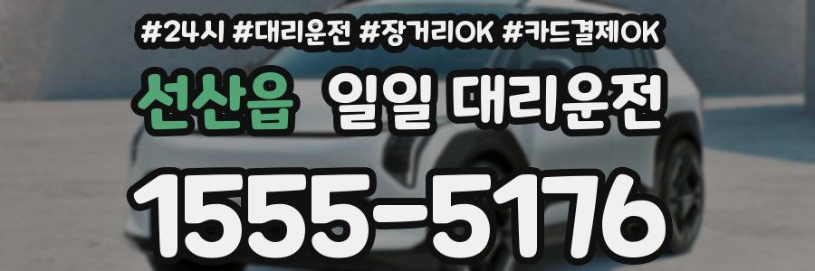 선산읍 일일 대리운전