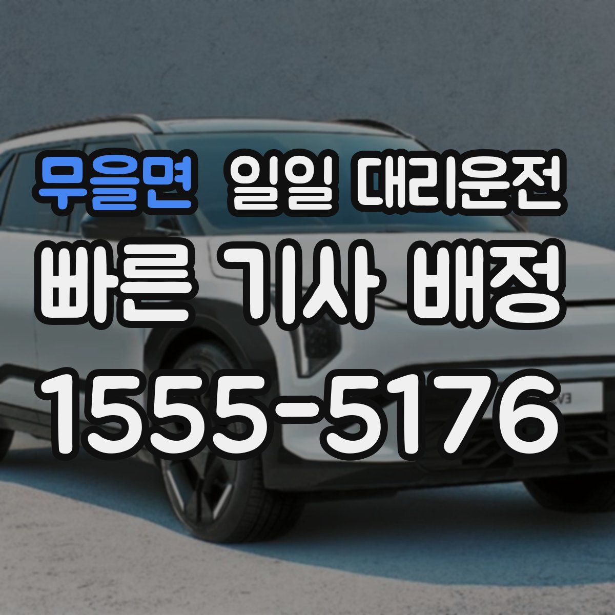 무을면 일일 대리운전