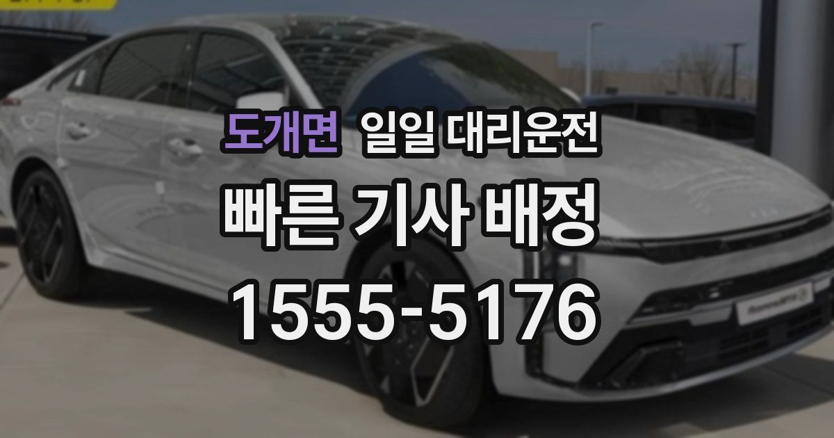 도개면 일일 대리운전