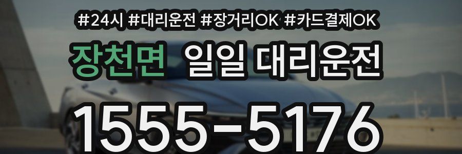 장천면 일일 대리운전