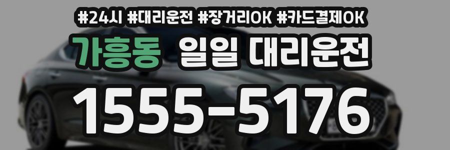 가흥동 일일 대리운전
