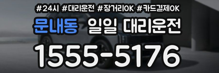 문내동 일일 대리운전
