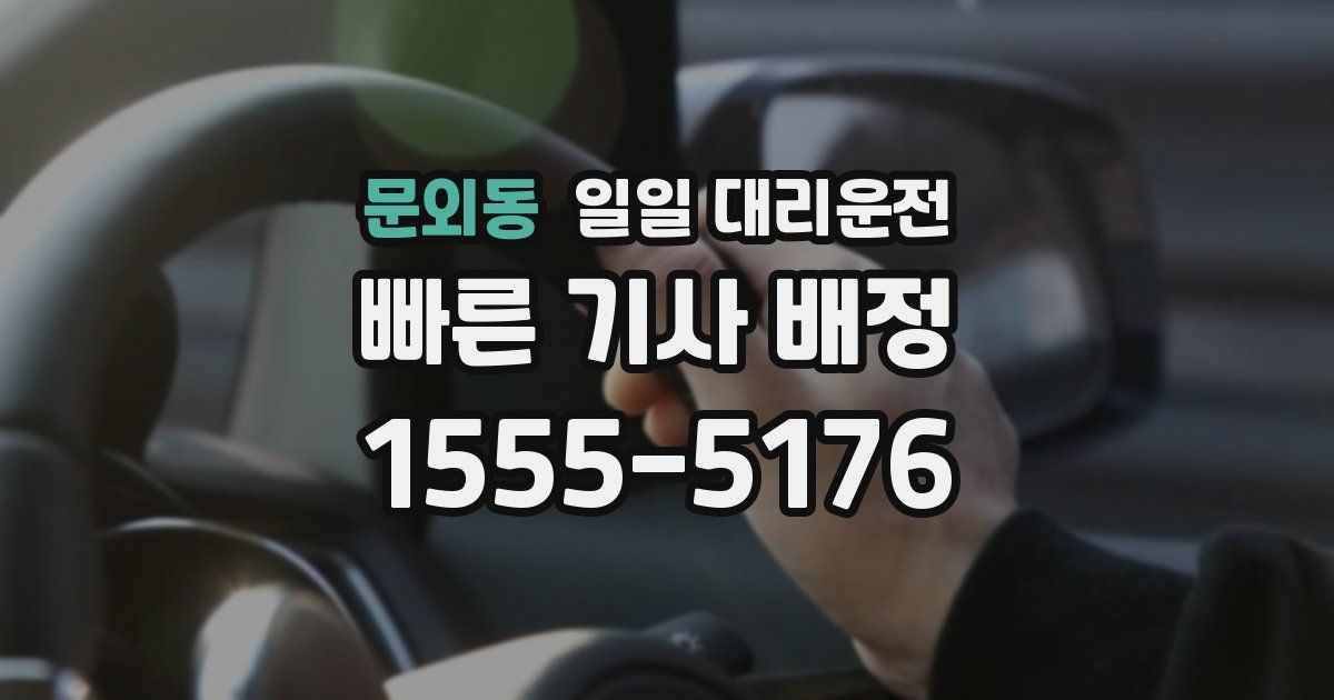 문외동 일일 대리운전