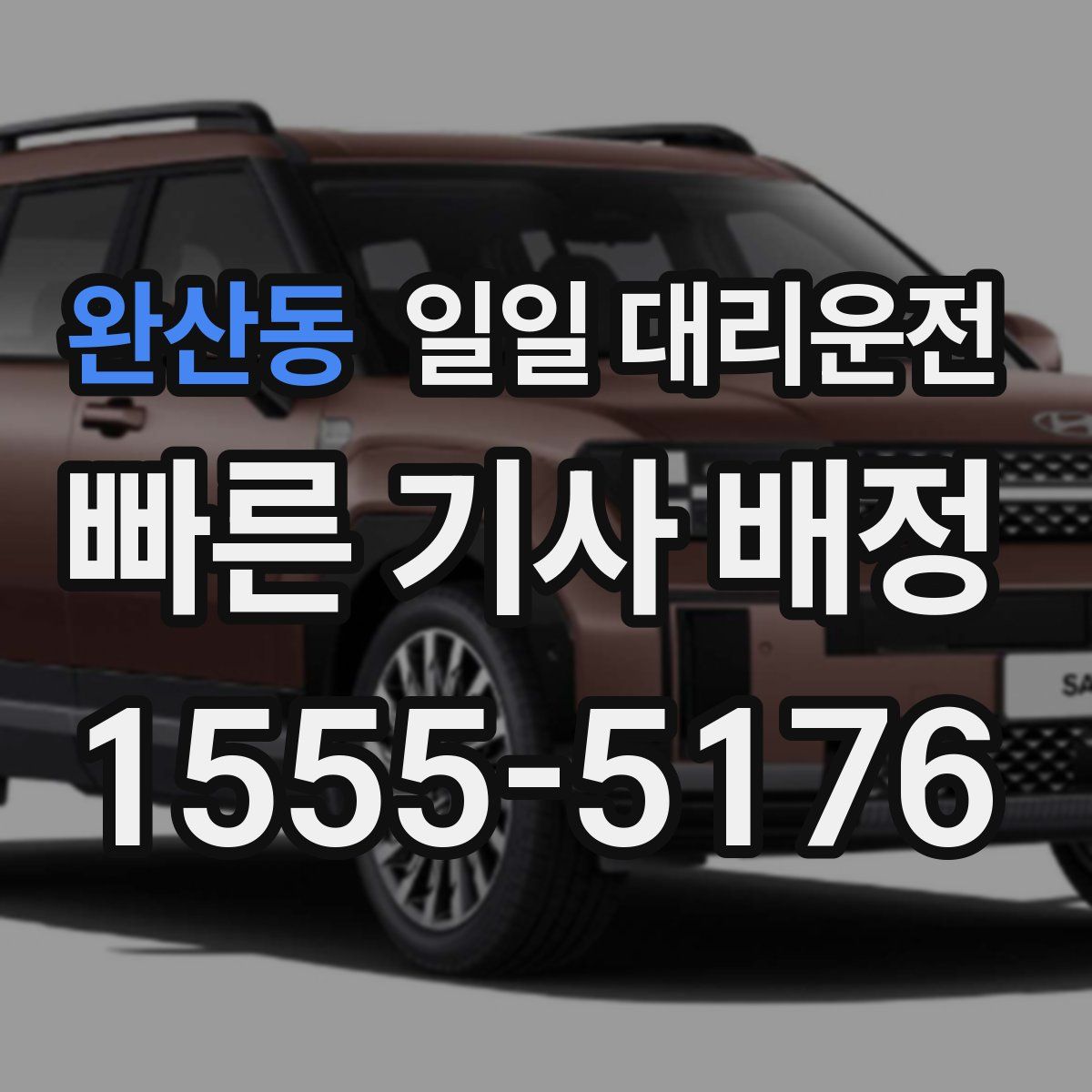 완산동 일일 대리운전