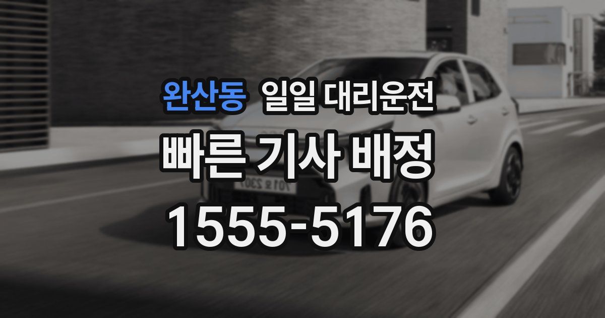 완산동 일일 대리운전