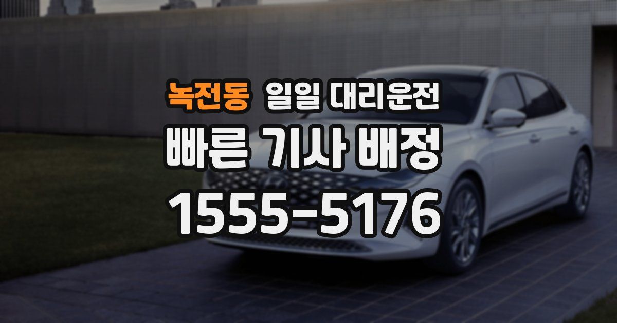 녹전동 일일 대리운전