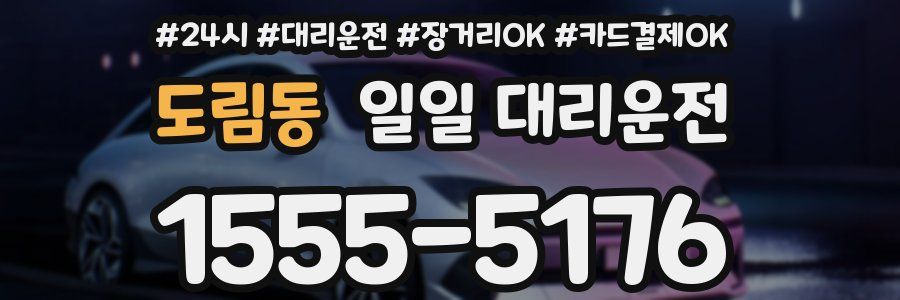 도림동 일일 대리운전