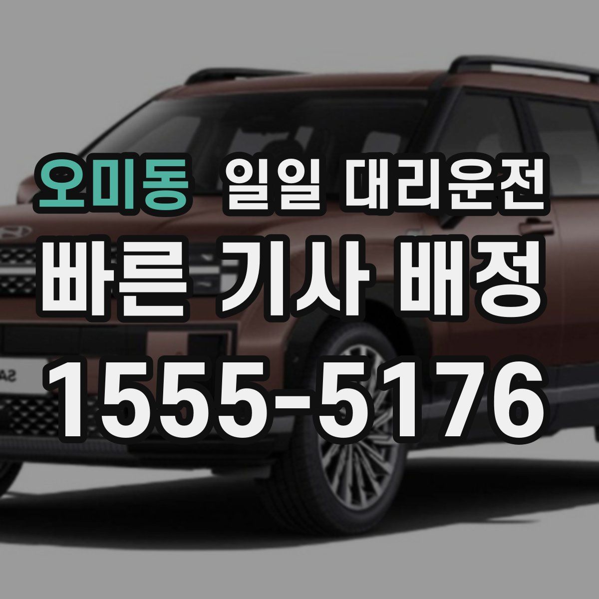오미동 일일 대리운전