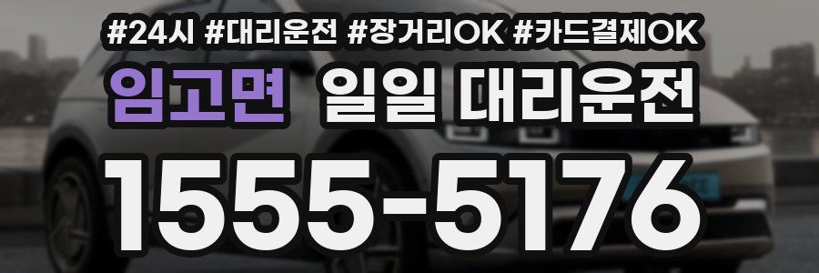 임고면 일일 대리운전