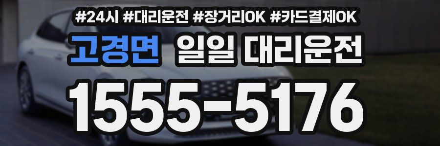 고경면 일일 대리운전