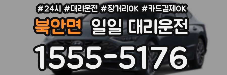 북안면 일일 대리운전