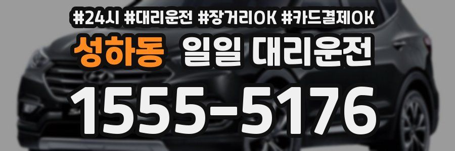 성하동 일일 대리운전