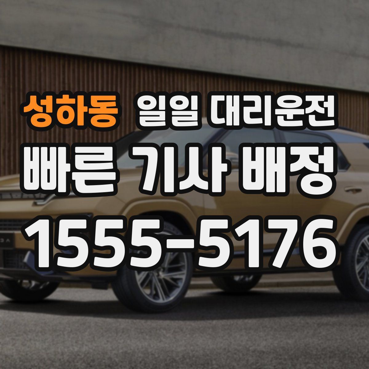 성하동 일일 대리운전