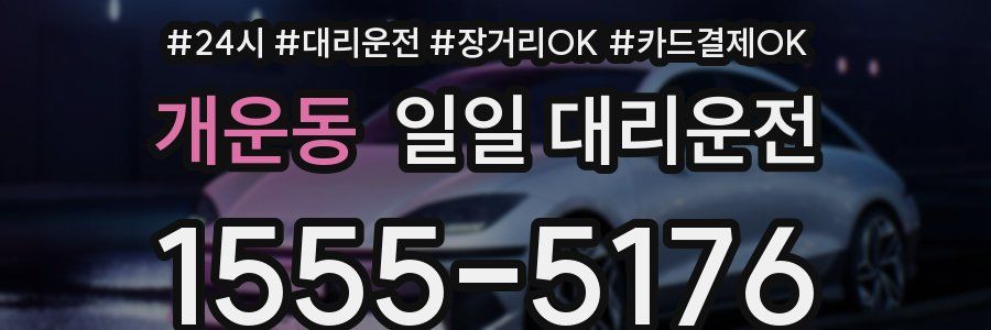 개운동 일일 대리운전