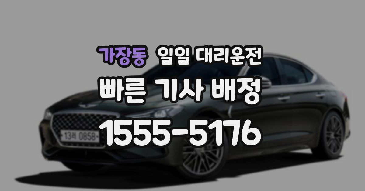 가장동 일일 대리운전