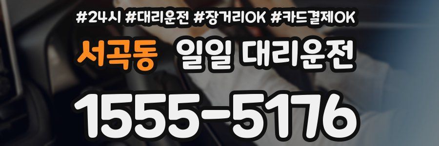 서곡동 일일 대리운전