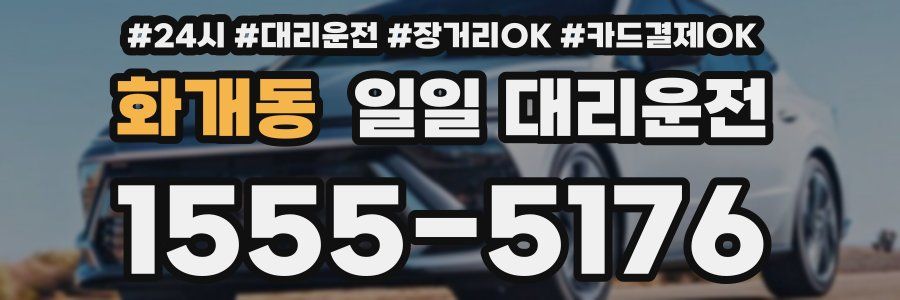 화개동 일일 대리운전