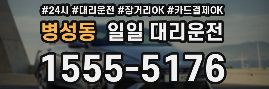 병성동 일일 대리운전