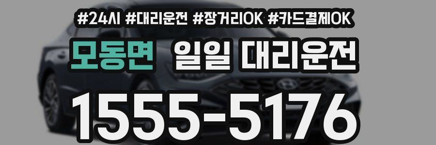 모동면 일일 대리운전
