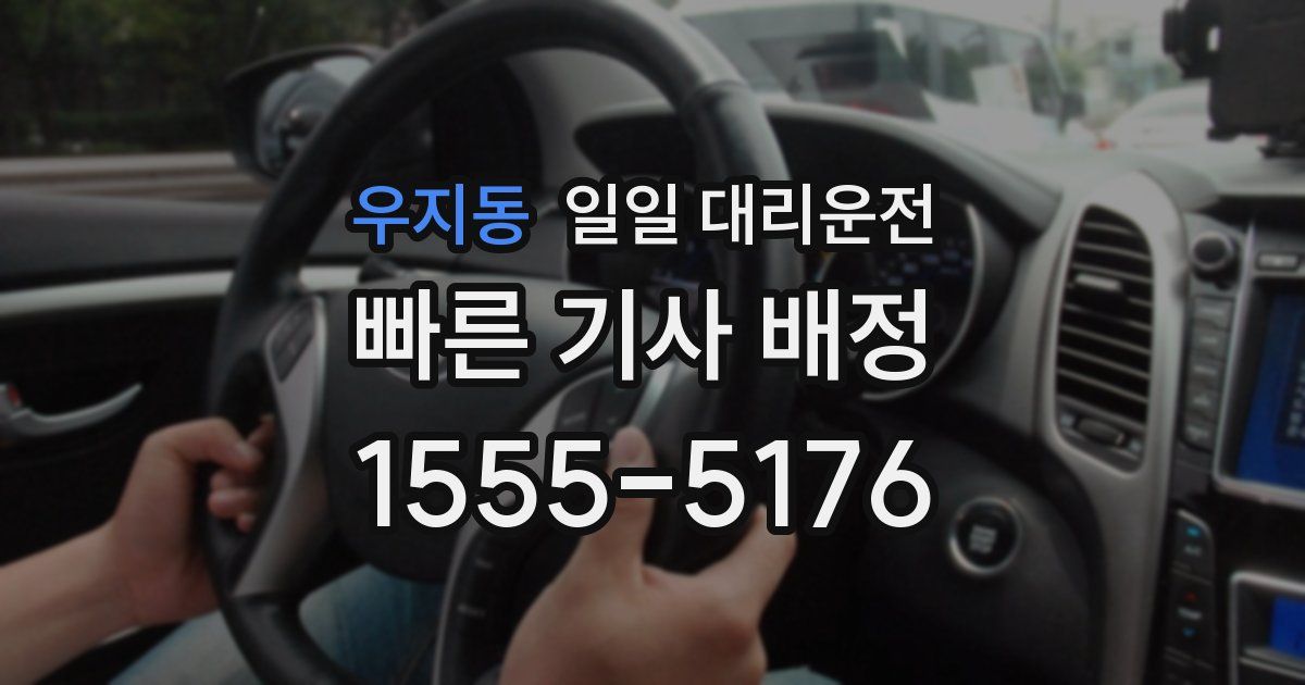 우지동 일일 대리운전