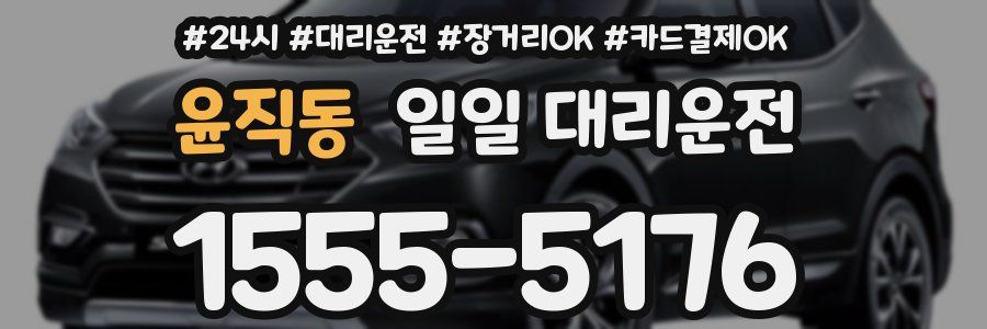 윤직동 일일 대리운전