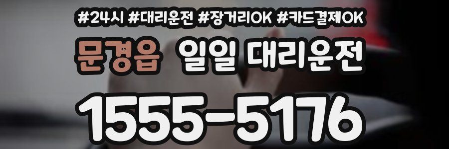 문경읍 일일 대리운전