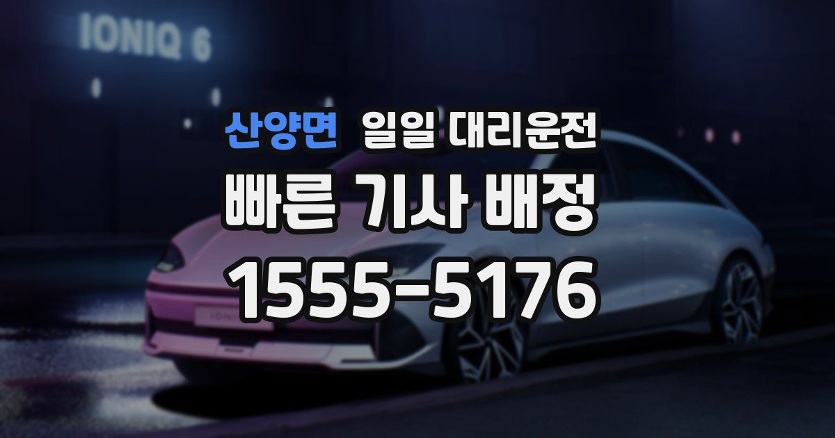 산양면 일일 대리운전