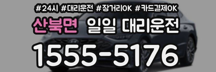산북면 일일 대리운전