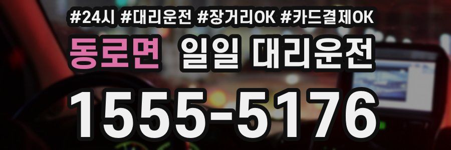 동로면 일일 대리운전