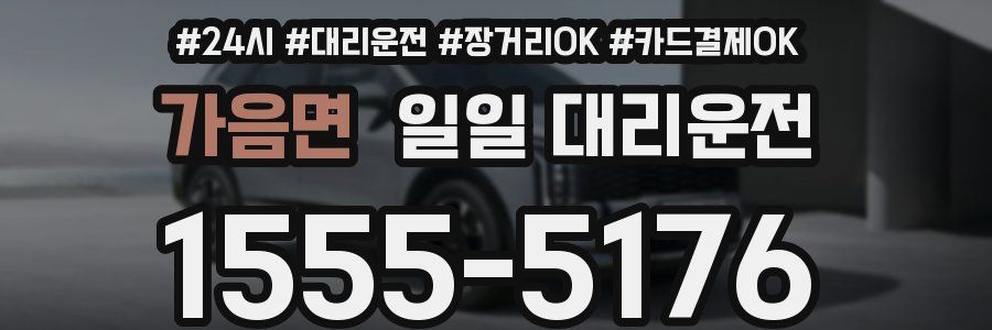 가음면 일일 대리운전